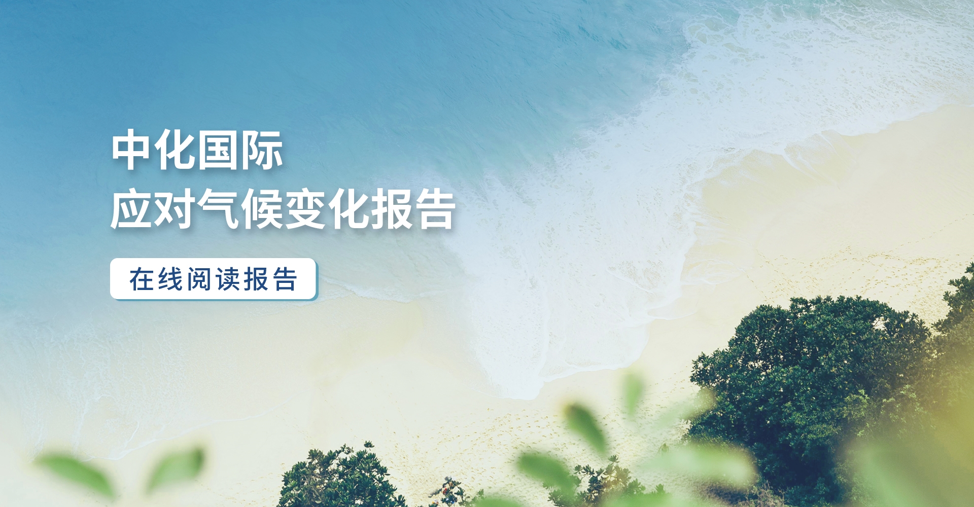 细腻化学 绿色生涯