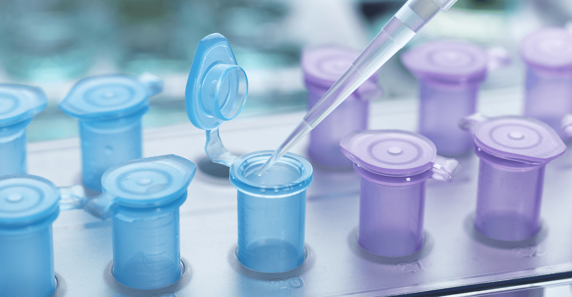 �ۺ������Ӽ� 